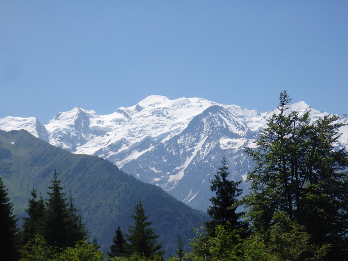 Bed and Breakfast Au Coeur Des Alpes Marignier Zewnętrze zdjęcie