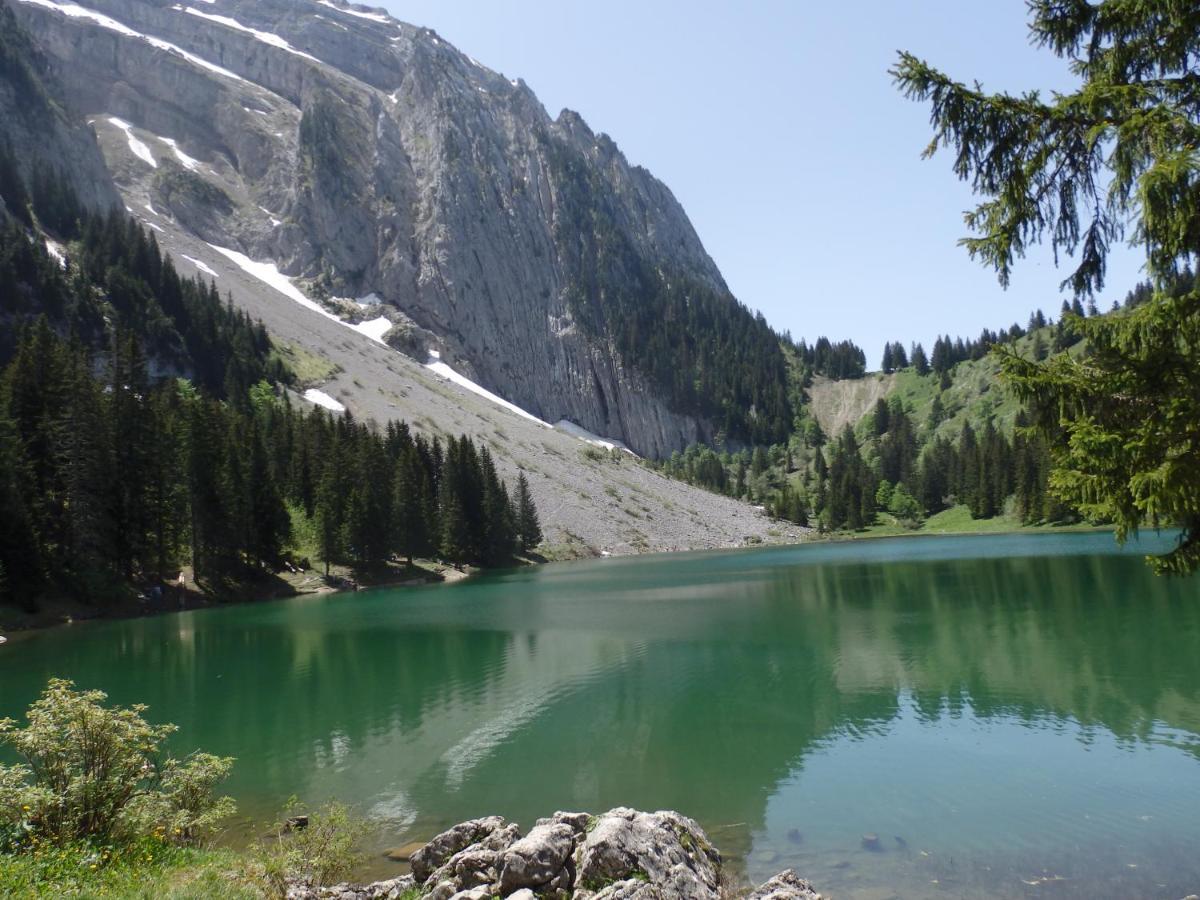 Bed and Breakfast Au Coeur Des Alpes Marignier Zewnętrze zdjęcie